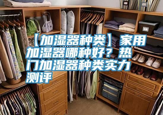 【加濕器種類】家用加濕器哪種好？熱門加濕器種類實力測評