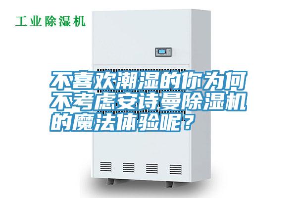 不喜歡潮濕的你為何不考慮蘑菇官方网站下载入口安卓蘑菇视频网站的魔法體驗呢？