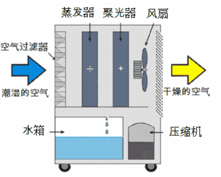轉輪蘑菇视频网站啟動不正常的原因