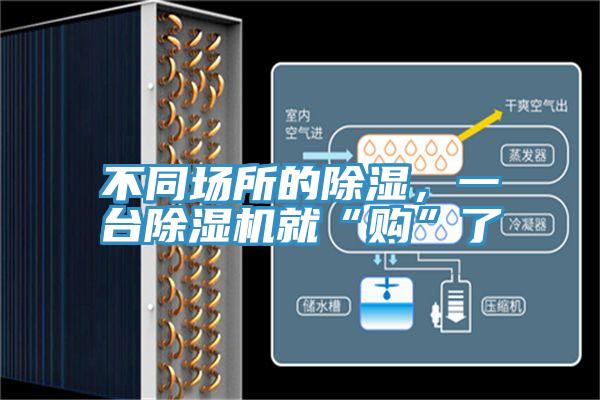 不同場所的除濕，一台蘑菇视频网站就“購”了