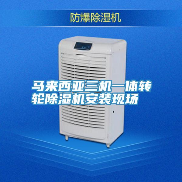 馬來西亞三機一體轉輪蘑菇视频网站安裝現場