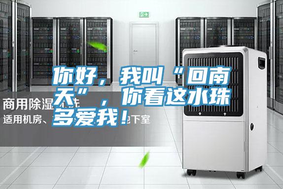 你好，我叫“回南天”，你看這水珠多愛我！