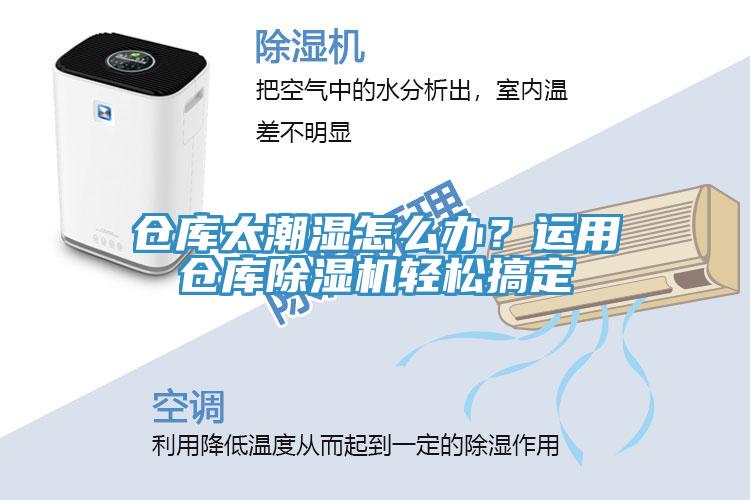 倉庫太潮濕怎麽辦？運用倉庫蘑菇视频网站輕鬆搞定
