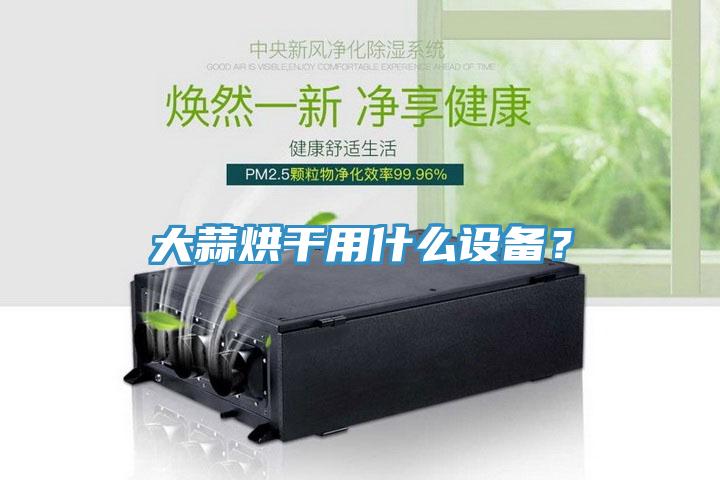 大蒜烘幹用什麽設備？