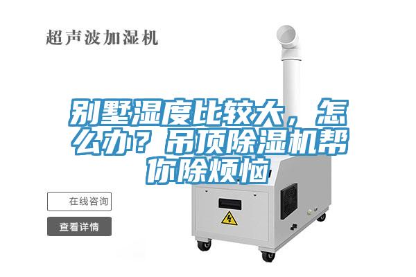 別墅濕度比較大，怎麽辦？吊頂蘑菇视频网站幫你除煩惱