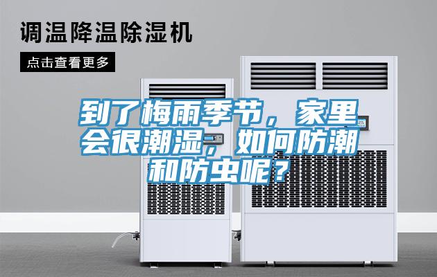到了梅雨季節，家裏會很潮濕，如何防潮和防蟲呢？