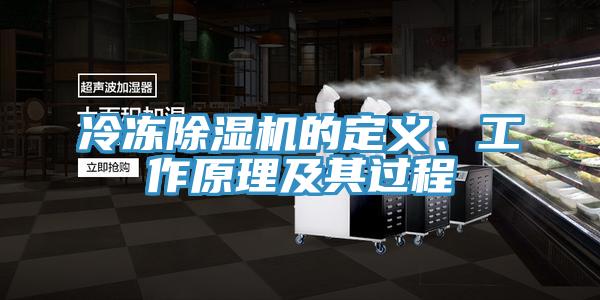 冷凍蘑菇视频网站的定義、工作原理及其過程