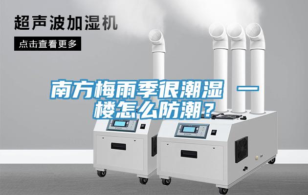 南方梅雨季很潮濕 一樓怎麽防潮？
