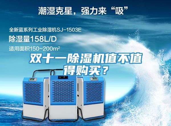 雙十一蘑菇视频网站值不值得購買？