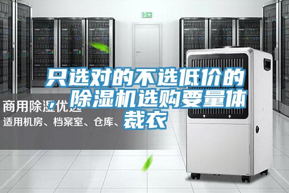 隻選對的不選低價的，蘑菇视频网站選購要量體裁衣