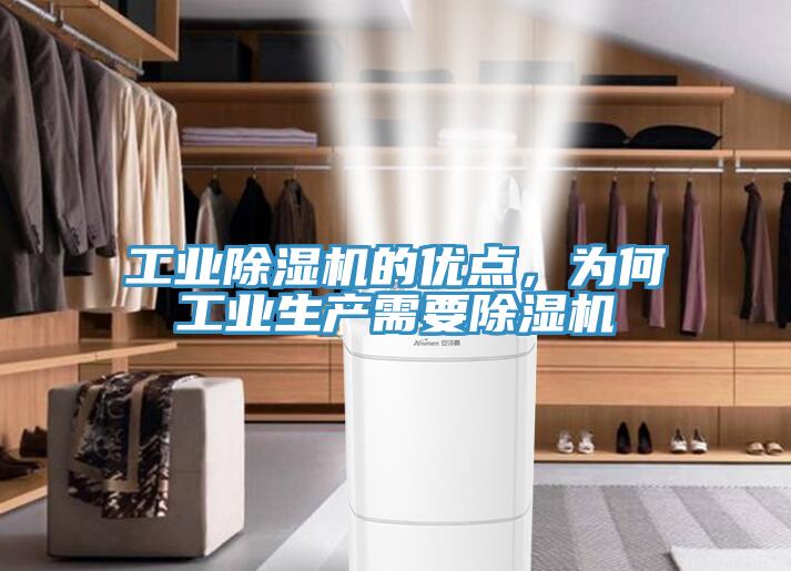 工業蘑菇视频网站的優點，為何工業生產需要蘑菇视频网站