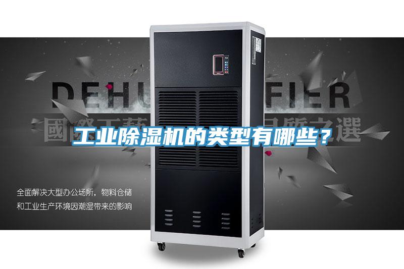 工業蘑菇视频网站的類型有哪些？