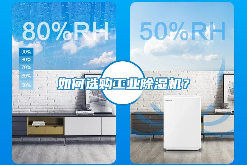 如何選購工業蘑菇视频网站？