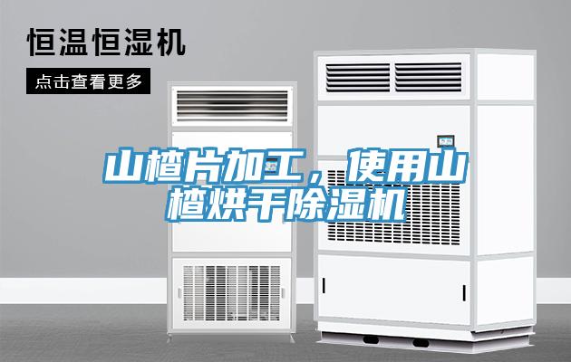 山楂片加工，使用山楂烘幹蘑菇视频网站