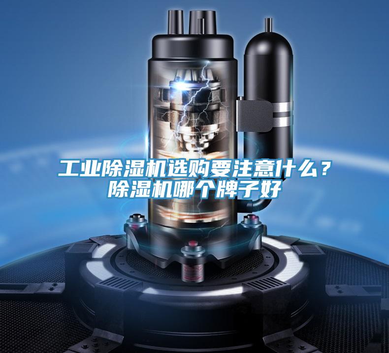 工業蘑菇视频网站選購要注意什麽？蘑菇视频网站哪個牌子好