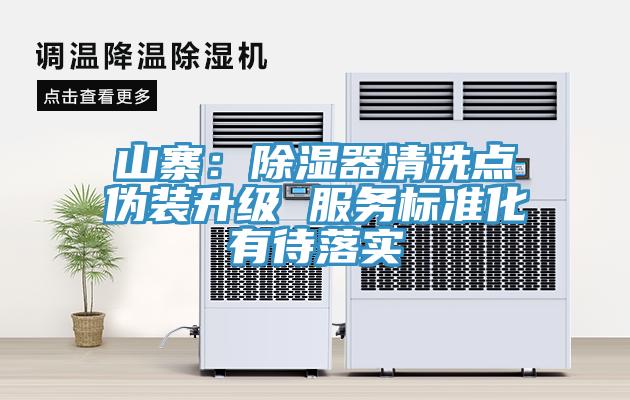山寨：除濕器清洗點偽裝升級 服務標準化有待落實