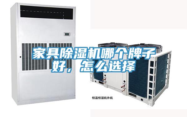 家具蘑菇视频网站哪個牌子好，怎麽選擇