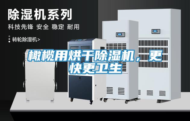 橄欖用烘幹蘑菇视频网站，更快更衛生