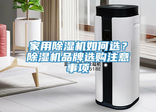 家用蘑菇视频网站如何選？蘑菇视频网站品牌選購注意事項
