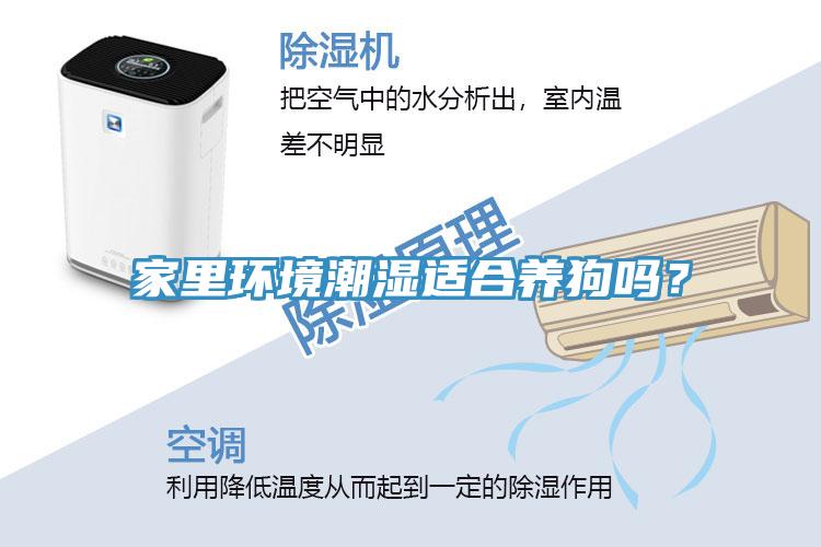家裏環境潮濕適合養狗嗎？