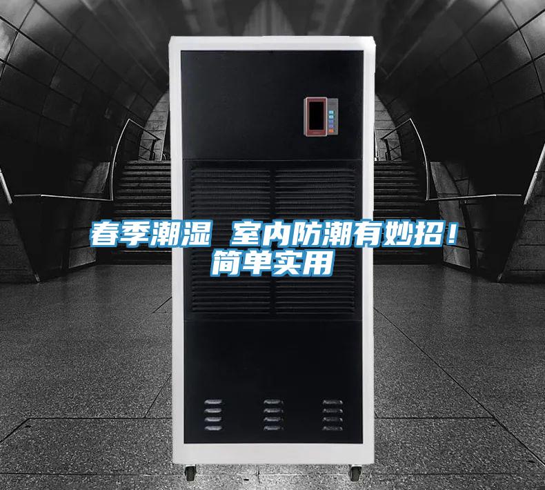 春季潮濕 室內防潮有妙招！簡單實用