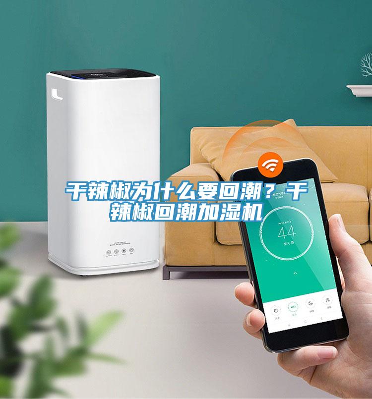 幹辣椒為什麽要回潮？幹辣椒回潮加濕機