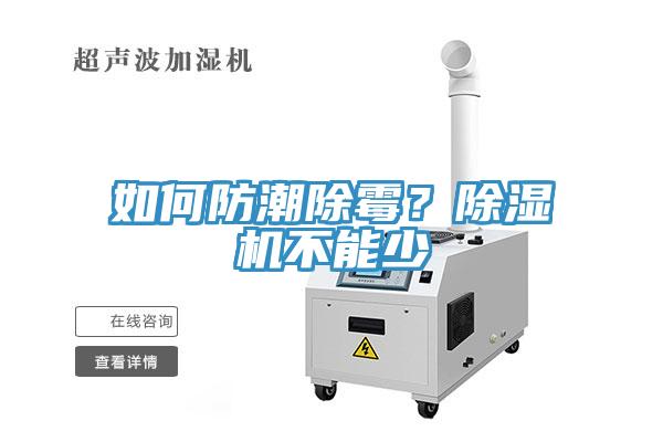 如何防潮除黴？蘑菇视频网站不能少