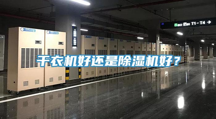 幹衣機好還是蘑菇视频网站好？