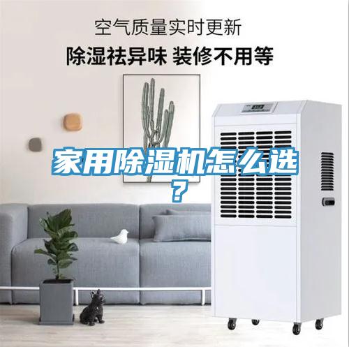 家用蘑菇视频网站怎麽選？