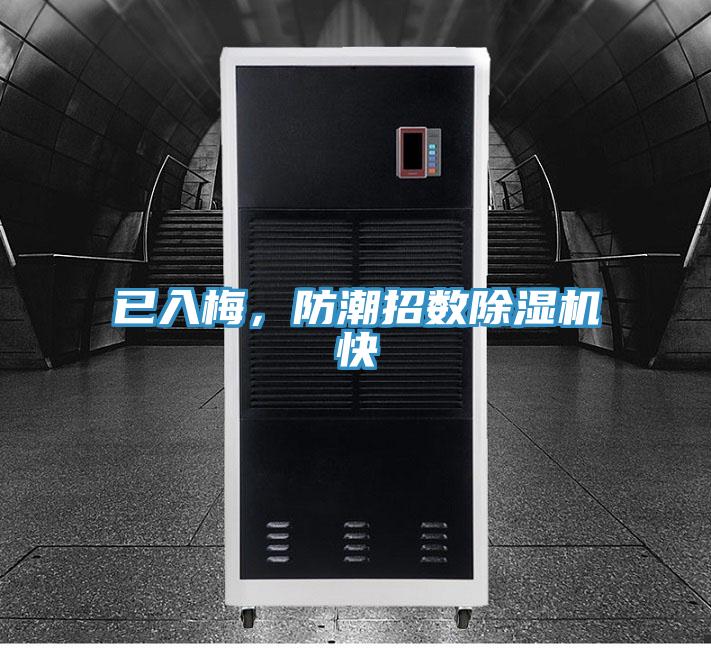 已入梅，防潮招數蘑菇视频网站快