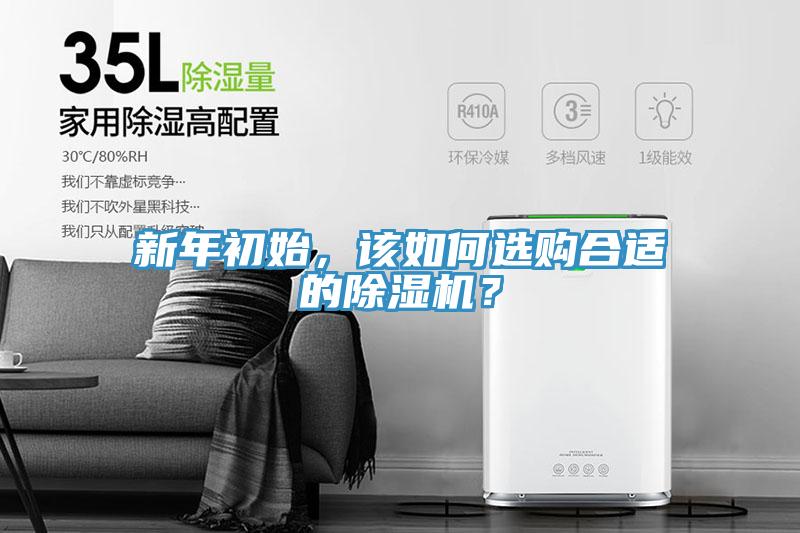 新年初始，該如何選購合適的蘑菇视频网站？