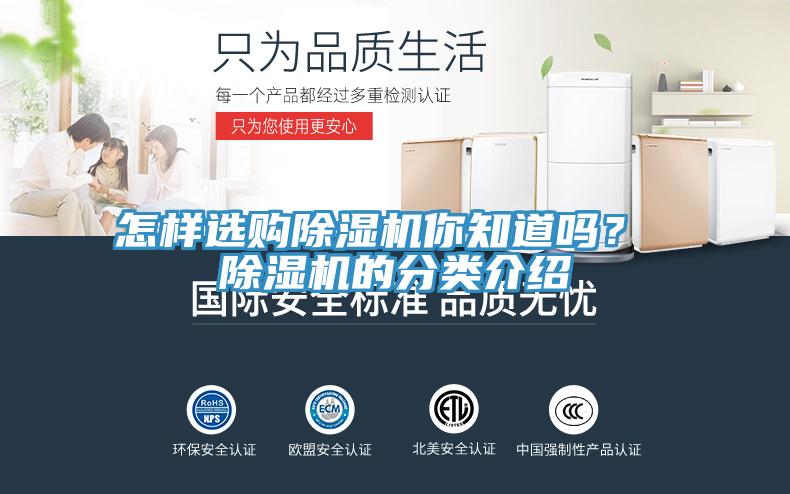 怎樣選購蘑菇视频网站你知道嗎？ 蘑菇视频网站的分類介紹
