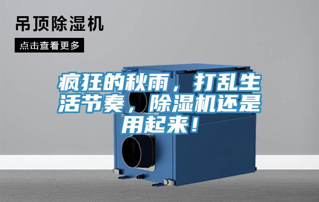 瘋狂的秋雨，打亂生活節奏，蘑菇视频网站還是用起來！