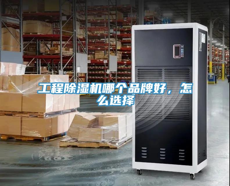 工程蘑菇视频网站哪個品牌好，怎麽選擇