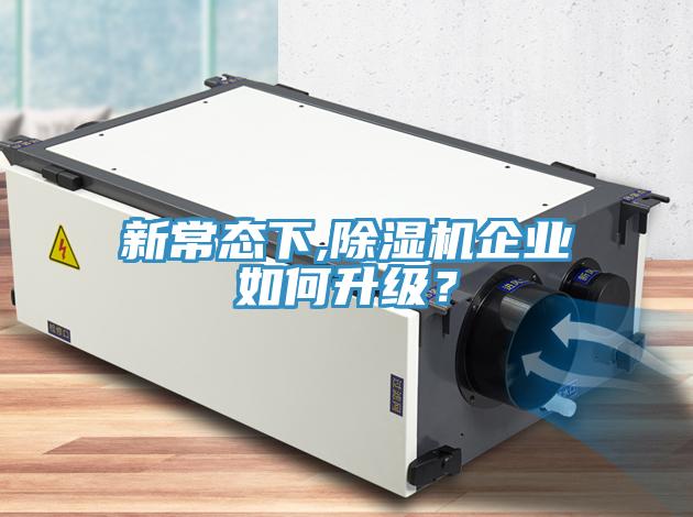 新常態下,蘑菇视频网站企業如何升級？