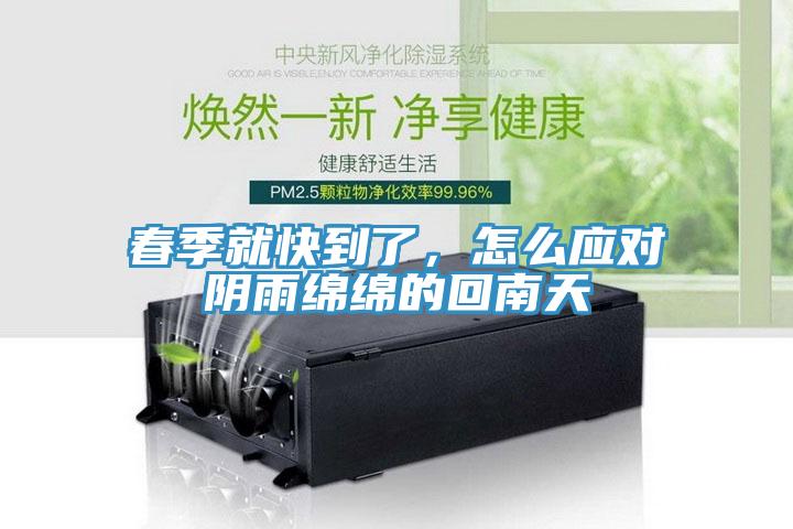 春季就快到了，怎麽應對陰雨綿綿的回南天
