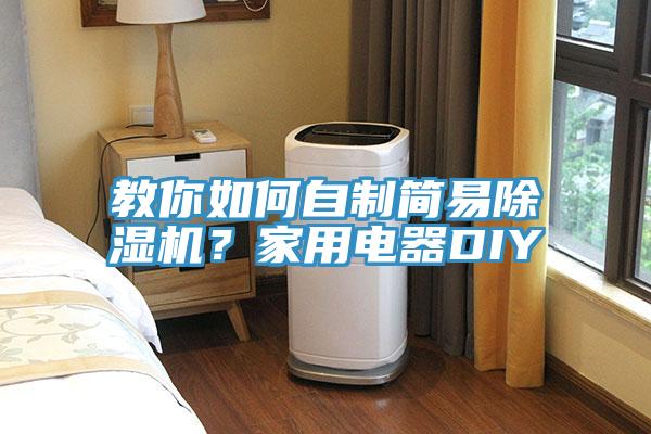 教你如何自製簡易蘑菇视频网站？家用電器DIY