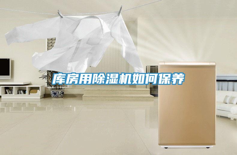 庫房用蘑菇视频网站如何保養