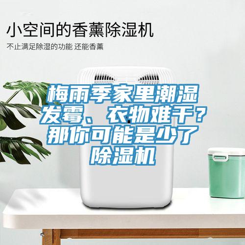 梅雨季家裏潮濕發黴、衣物難幹？那你可能是少了蘑菇视频网站