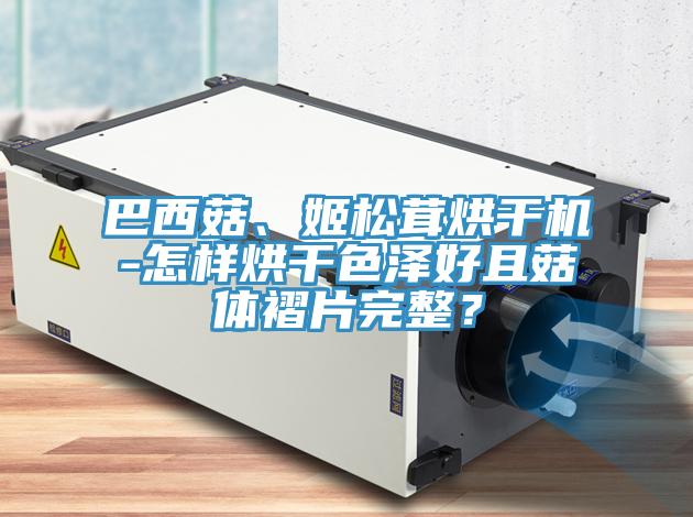 巴西菇、姬鬆茸烘幹機-怎樣烘幹色澤好且菇體褶片完整？