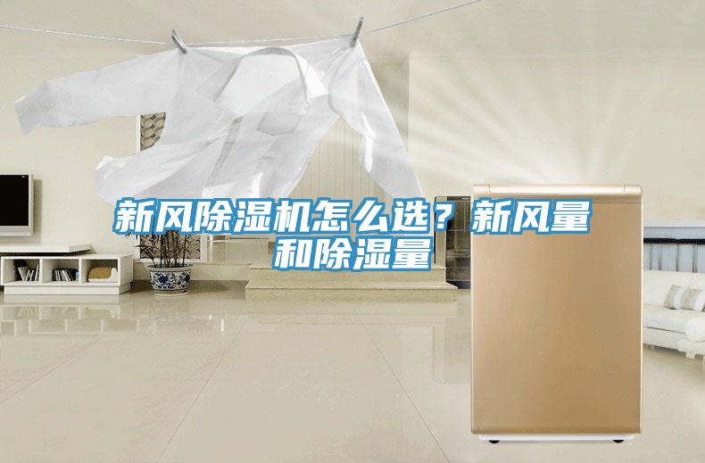 新風蘑菇视频网站怎麽選？新風量和除濕量