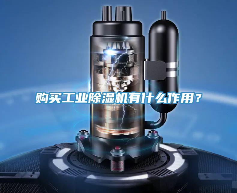 購買工業蘑菇视频网站有什麽作用？
