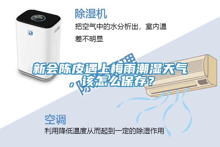 新會陳皮遇上梅雨潮濕天氣，該怎麽保存？