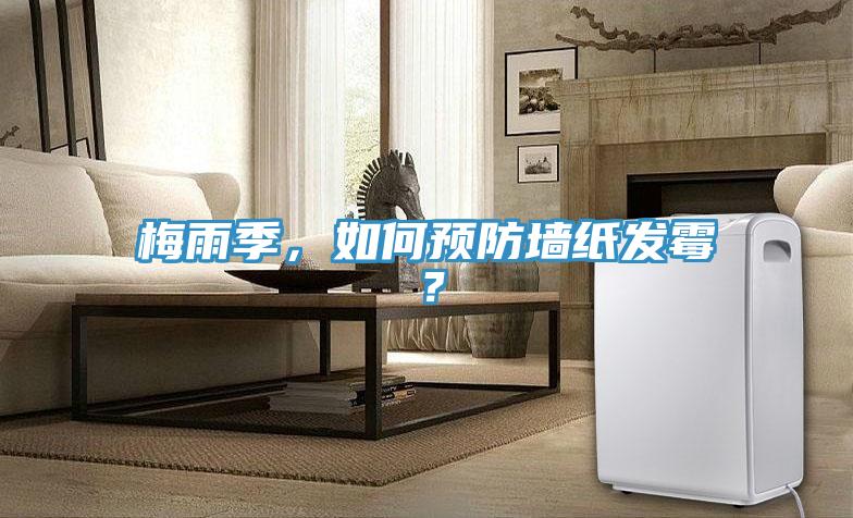梅雨季，如何預防牆紙發黴？