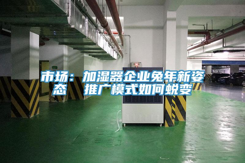 市場：加濕器企業兔年新姿態  推廣模式如何蛻變