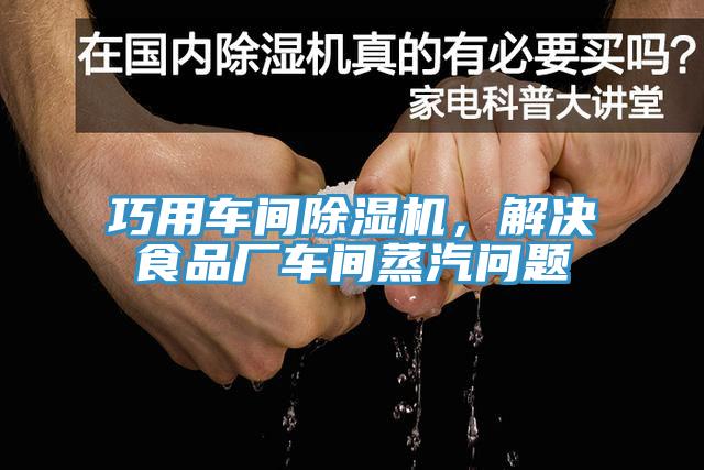 巧用車間蘑菇视频网站，解決食品廠車間蒸汽問題