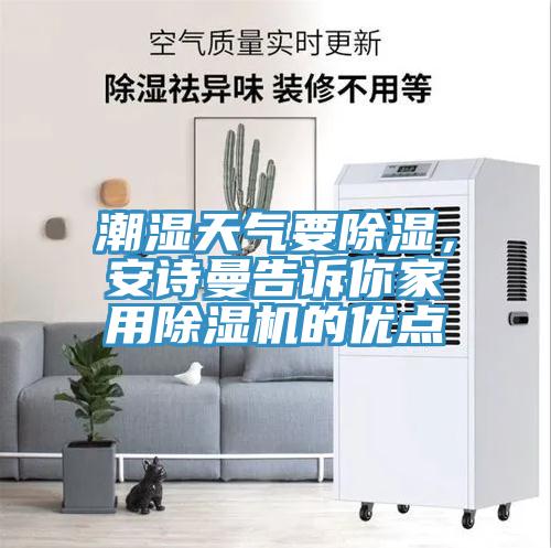 潮濕天氣要除濕，蘑菇官方网站下载入口安卓告訴你家用蘑菇视频网站的優點