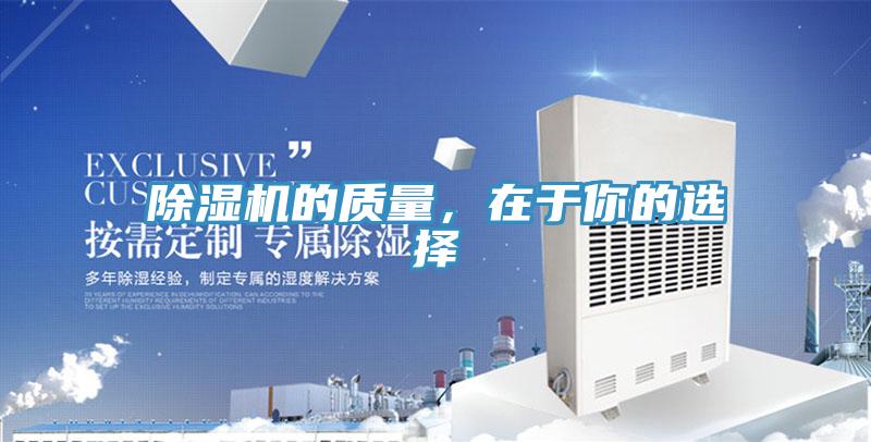 蘑菇视频网站的質量，在於你的選擇
