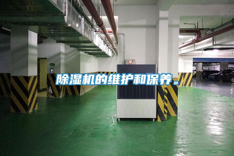 蘑菇视频网站的維護和保養。