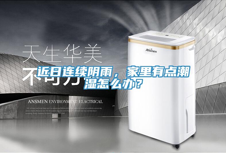 近日連續陰雨，家裏有點潮濕怎麽辦？